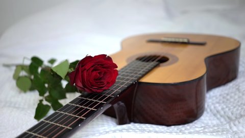 smooth shooting of rose on guitar. Romantic greeting on valentine's day. Serenade for declaration of love. Musical valentine. Classical guitar on bed