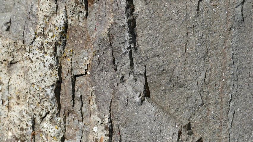 Rock stone wall abstract texture. Old concept. Pattern for decoration. Background video for design.