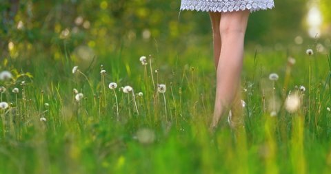 Female legs in a white dress are walking on the grass with flowers, walking through the meadow. Legs in sneakers are walking in a lawn, a sunny summer day. Back view. 4k, ProRes