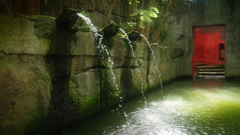 A beautiful fountain in a mysterious cave in a topical jungle. Water streams coming out of statues of turtles into a green pool in atmospheric yard of an old castle. Slow motion.
