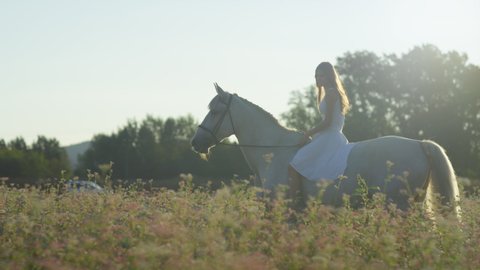 SLOW MOTION: Beautiful young woman rides her horse bareback on a sunny summer evening. Cinematic shot of a female horseback rider riding her stallion at golden sunset. Girl riding a horse at sunrise.
