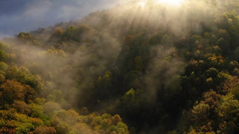 Aerial Shot Of Landscape Covered With Fog At Una National Park, Drone Flying Upward Over Trees