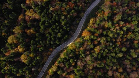 Aerial Shot Of Road Amidst Trees At Una National Park During Autumn