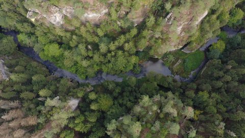 Aerial Shot Of Idyllic River Flowing Amidst Trees In Forest - Hrensko, Czech Republic