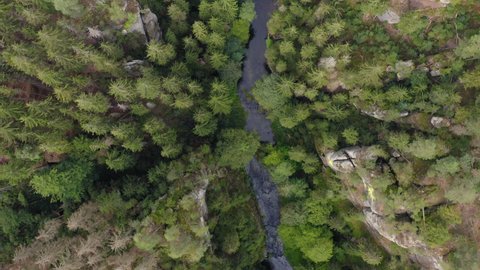 Aerial Shot Of Beautiful River Flowing Amidst Trees In Forest, Drone Flying Forward Over Landscape - Hrensko, Czech Republic