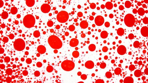 Abstract colorful red and white paint reaction. Psychedelic liquid light show, dye patterns in water, oil, paint. Marble background for visual effects, motion graphics. Swirl pattern, ink explosion