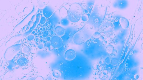Colorful oil drops floating on water surface, top view. Fantastic abstract background. Bright bubbles moving and spreading. Close up 4k video of weird liquid structures. Scientific chemical experiment