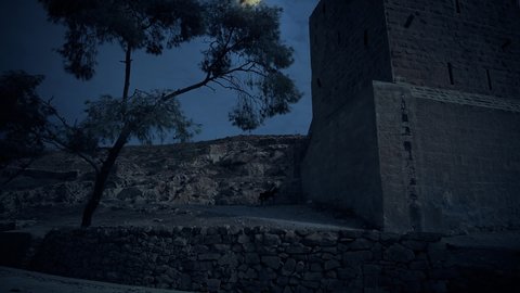 Ancient fortification in Israel at night with full moon.