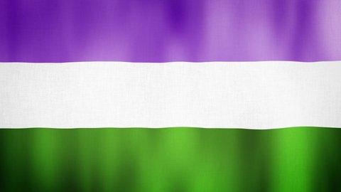 Gender Queer flag is waving. Pride flag background 3d animation. LGBT genderqueer sign seamless loop animation. LGBTQ+ Pride flag close up in high quality 4K resolution.
