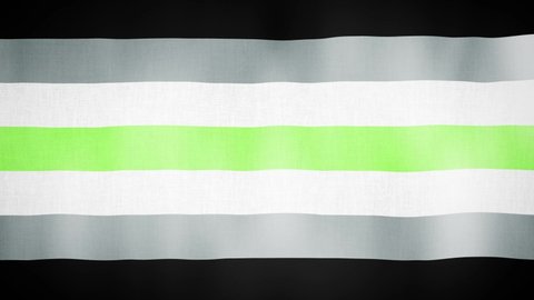 Agender flag is waving. Pride flag background 3d animation. LGBT sign seamless loop animation. LGBTQ+ Pride flag close up in high quality 4K resolution.