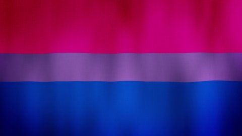 Bisexuality flag is waving. Pride flag background 3d animation. LGBT sign seamless loop animation. LGBTQ+ 
Bisexual Pride flag close up in high quality 4K resolution.