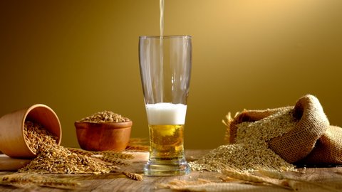 
Pouring beer into the glass. Wheat spikelets with one mugs of beer on empty wooden background