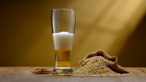 
Wheat spikelets with one mugs of beer on empty wooden background

Pouring beer into the glass.