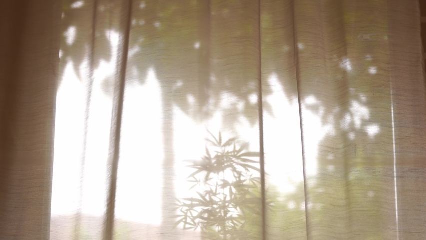 In the living room where light shines through a thin curtain. It made it possible to see the shadows of the big trees and the small leaves outside. The light wind caused the curtain to move slowly. Royalty-Free Stock Footage #1075272899