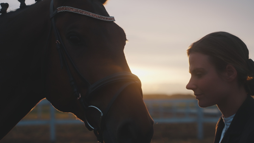 Horsewoman kissing her Seal horse. Looking at her horse with love and expressing her affection. Sunset time. Wooden fence in the background. Bonding between horse and his Master.  Royalty-Free Stock Footage #1075275740