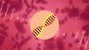 Animation of rotating 3d dna strand, rotating over cells, on circle and pink background. global medical research technology and digital interface concept, digitally generated video. - Powered by Shutterstock - Get 15% off with code: PIKWIZARD15