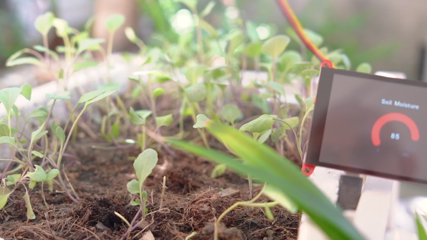 Hand of woman using soil moisture sensor with moisture numeric display screen, Agriculture technology. Royalty-Free Stock Footage #1075290059