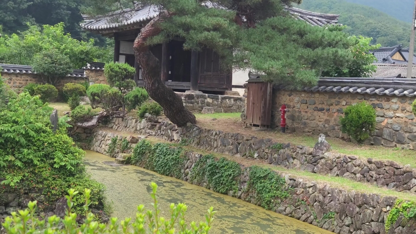 Korean traditional houses, gardens, ponds, nature, old pine trees, rain