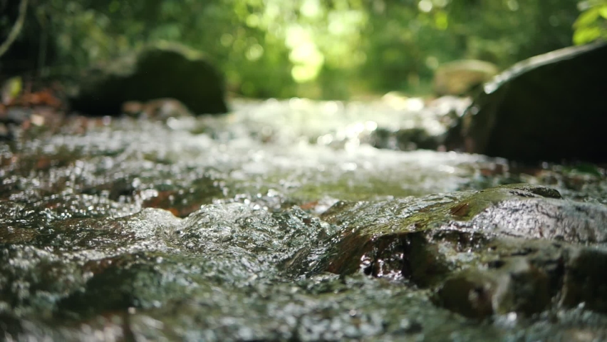 Wild mountain river flowing through stone boulders, Water clear stream river flowing in the deep forest, Slow motion