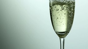 Animation of network of connections and bubbles rising in glass of champagne, on grey background. celebration, party and luxury event concept, digitally generated video.