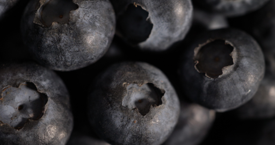 Fresh Blueberry Background. Texture Healthy Food Berries Close-up. Blueberry Antioxidant Organic Food, Healthy Eating and Nutrition. Vegan Vegetarian Healthy Eating. Macro Texture Blueberry Berries. Royalty-Free Stock Footage #1075316912