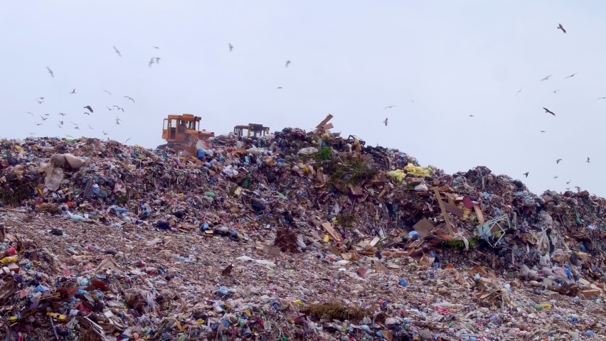 Excavators clear the landfill with household solid waste. The concept of sorting garbage and recycling it into recycled materials. Plenty of birds above the landfill. High quality. 4k footage. Royalty-Free Stock Footage #1075320449
