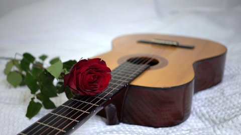 smooth shooting of rose on guitar. Romantic greeting on valentine's day. Serenade for declaration of love. Musical valentine. Classical guitar on bed