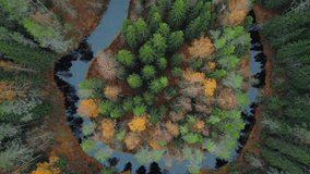 Aerial top down winding serpentine glacial river in autumn impenetrable spruce fir forest taiga Karelia Russia mesmerizing natural landscape, reflection in calm mirror water. Ecosystem climate. Dark - Powered by Shutterstock - Get 15% off with code: PIKWIZARD15