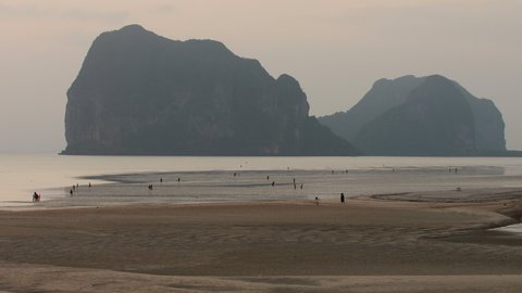 Local Thai fishermen and families collect crabs and conch shells on the golden sand beach at low tide at dusk in front of massive limestone karst formations. Trang, Thailand