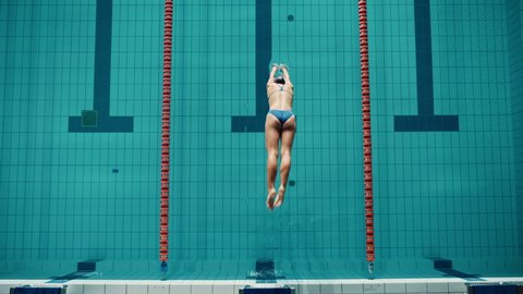 Aerial Top View: Beautiful Female Swimmer Diving in Swimming Pool. Professional Athlete Gracefully Jumps. Person Training Determined to Win Championship. Cinematic Slow Motion with Stylish Colors