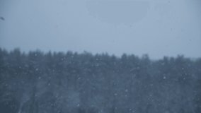 Heavy snow during blizzard. Blurred fir tree forest in the background. Cloudy sky. Selective focus. 4K resolution video. Weather forecast theme.