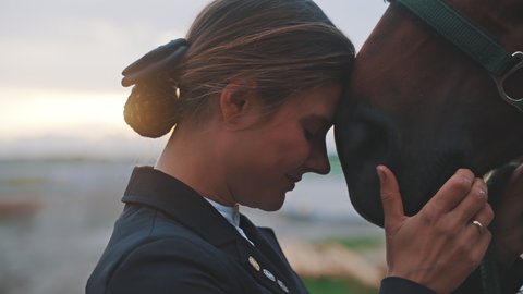 Horse owner touching her face to her seal brown horse. Expressing her love for her horse and stroking the stallion. Love for pets. Horse Love. 