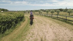 Backside view of woman and horse walking slowly on the race track one hot summer day on the Swedish west coast. 4K video, slowmotion x 2, stabilized footage. Blue sky and white clouds.