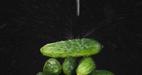 Stream of water falling on a pile of cucumbers. Fall of water, splash and drops of water on a black background. Isolated on black