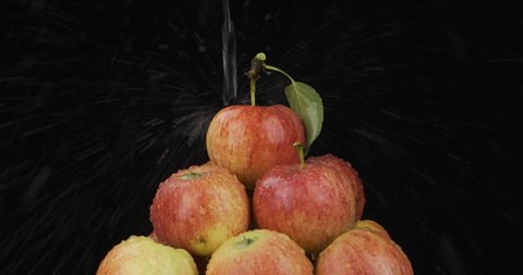 Stream of water falling on a pile of apples. Fall of water, splash and drops of water on a black background. Isolated on black