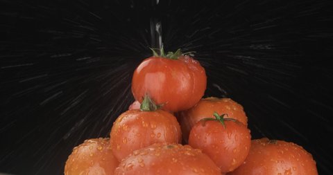 Stream of water falling on a pile of red tomatoes. Fall of water, splash and drops of water on a black background. Isolated on black
