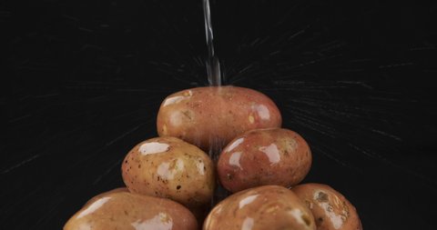 Stream of water falling on a pile of potatoes. Fall of water, splash and drops of water on a black background. Isolated on black