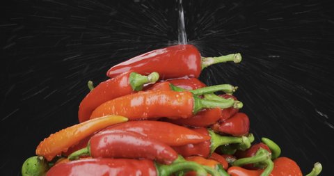 Stream of water falling on a pile of hot peppers. Fall of water, splash and drops of water on a black background. Isolated on black