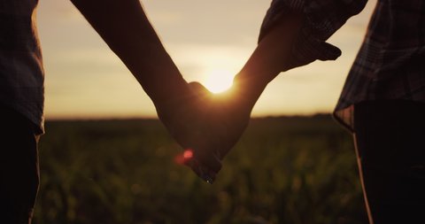 A young couple takes hands. Silhouettes of young people, view from behind. Standing in a field of corn
