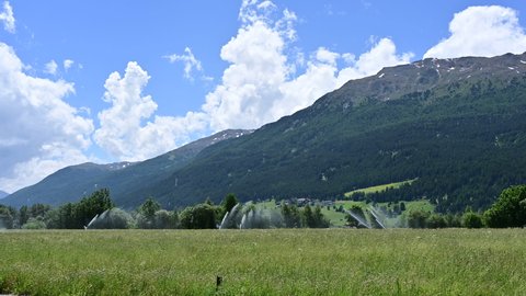Val Venosta, Trentino, Italy, June 2021. Mountain landscape in a beautiful summer day. The irrigation systems wet the hay meadow, the jets of water visible.