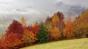 Time lapse clip. Fantastic colorful mountain landscape with cloud. Ukraine, Carpathian Mountains