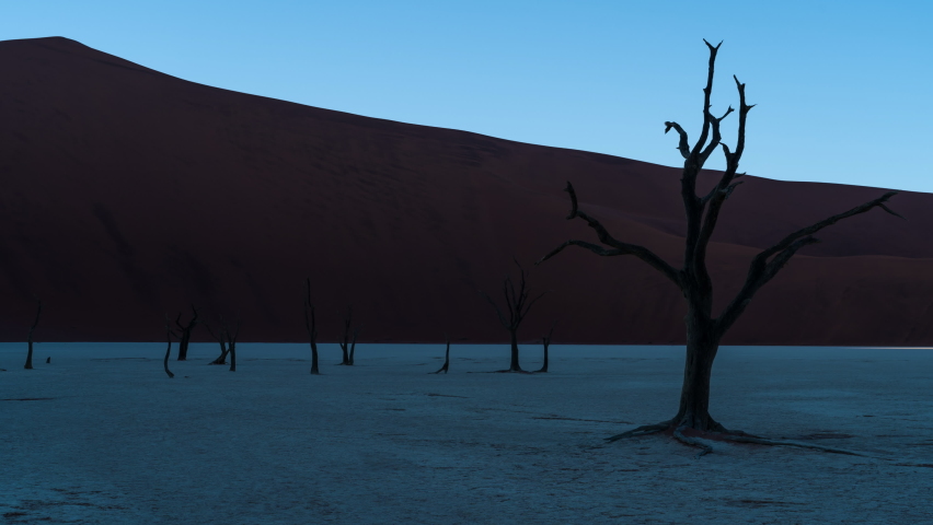 Timelapse view of sunrise over Deadvlei showing dead Camelthorn trees against giant sand dunes, Namib-Naukluft National Park, Namibia, Africa. Royalty-Free Stock Footage #1075406522