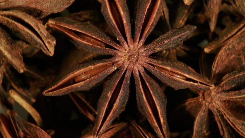 Star Anise is a small star-shaped fruit with one seed in each arm. Royalty-Free Stock Footage #1075421897