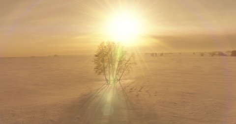 Drone aerial view of cold winter landscape arctic field, trees covered with frost snow, ice river and sun rays over horizon. Extreme low temperature weather.