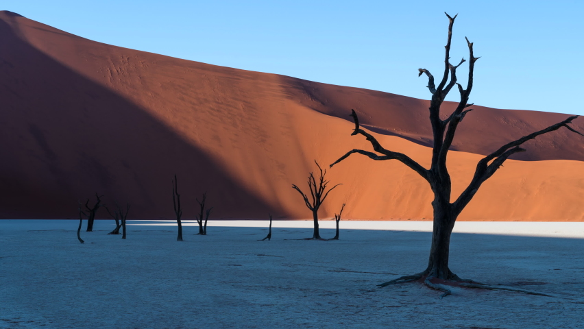 Zoom out timelapse view of sunrise over Deadvlei showing dead Camelthorn trees against giant sand dunes, Namib-Naukluft National Park, Namibia, Africa. Royalty-Free Stock Footage #1075440443