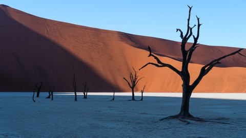 Zoom out timelapse view of sunrise over Deadvlei showing dead Camelthorn trees against giant sand dunes, Namib-Naukluft National Park, Namibia, Africa.