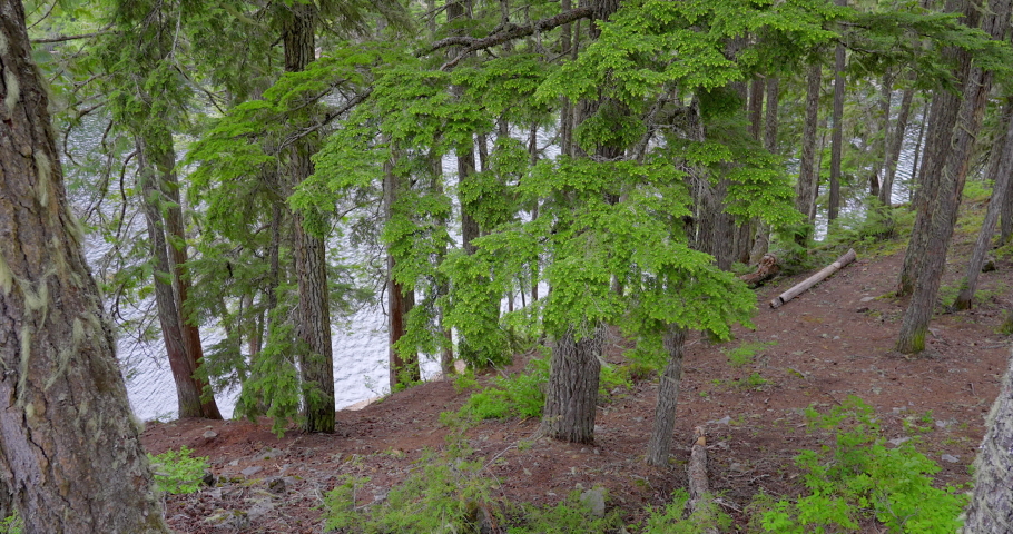 Establishing shot of Mountain Lake with Dramatic Clouds in Vancouver, Canada, North America. Day time on May 2021. Still camera view. ProRes 422 HQ.