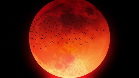 The silhouette of a flock of birds flying in front of a blood-red moon.