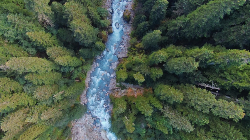 Drone top down low above beautiful blue glacial river fast flow among green mystical spruce forest pine trees. Picturesque wildlife landscape. Explore hard-to-reach corners of world. Caucasus Russia Royalty-Free Stock Footage #1075467005