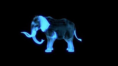 3D holographic elephant looping animation 